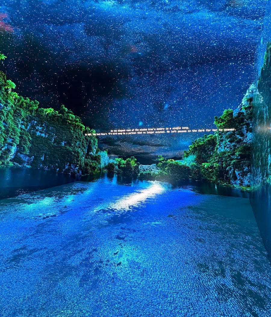 Machine Dreams: Rainforest 5